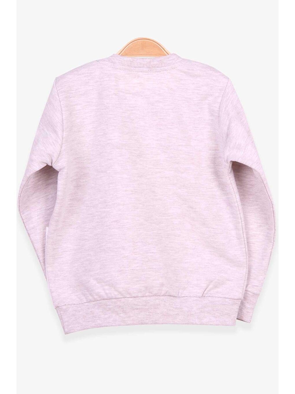 Kız Çocuk Sweatshirt Köpek Baskılı Bej Melanj (2-6 Yaş)-1