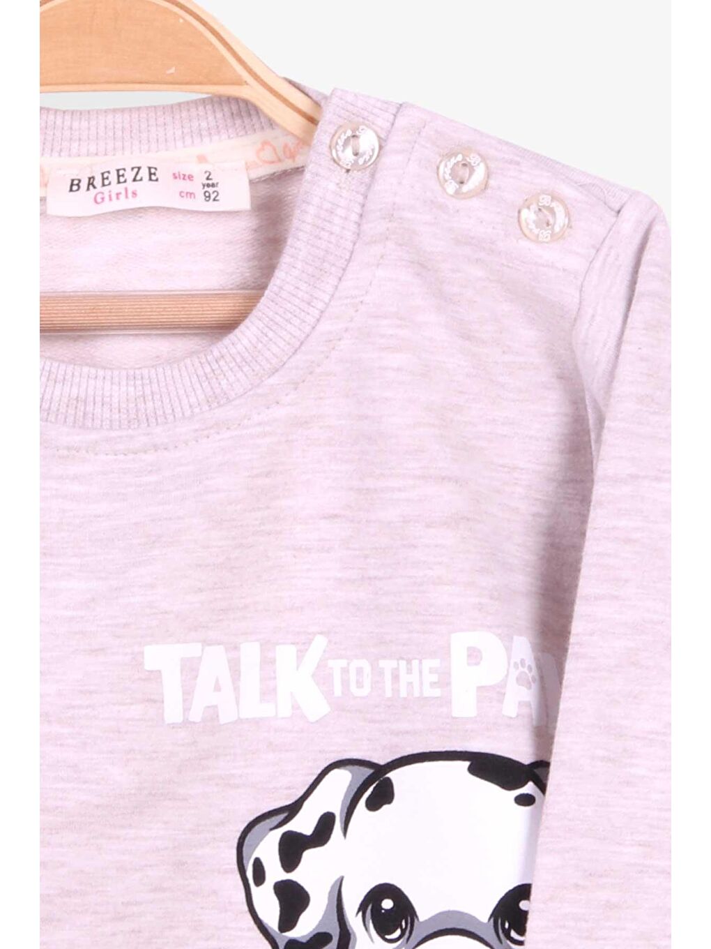 Kız Çocuk Sweatshirt Köpek Baskılı Bej Melanj (2-6 Yaş)-2