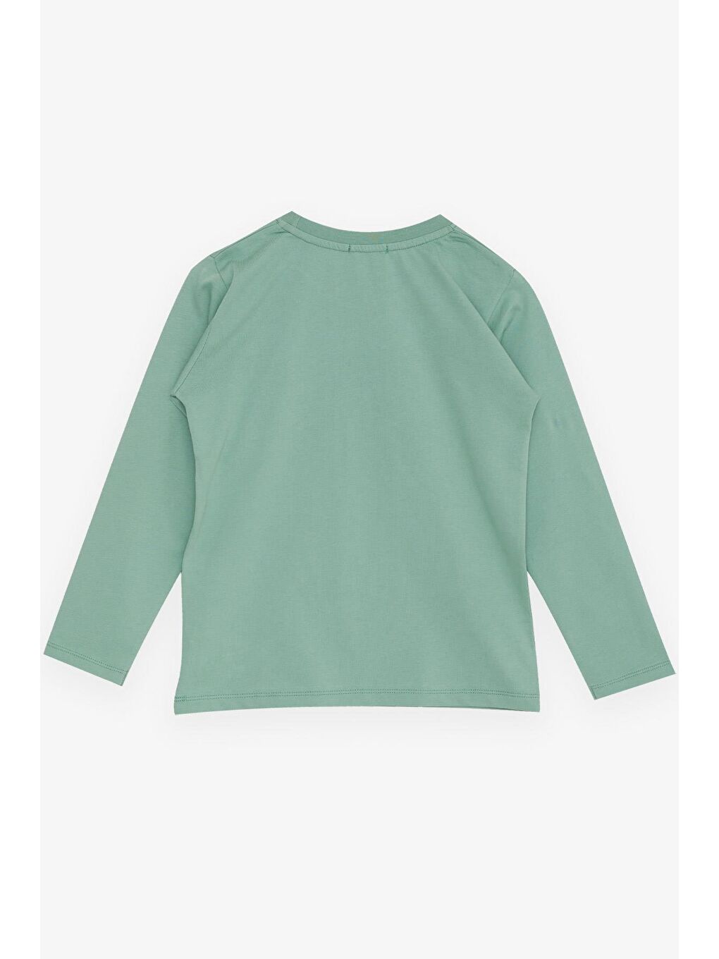 Erkek Çocuk Uzun Kollu Tişört Havalı Köpekcik Mint Yeşili (5-7 Yaş)-1
