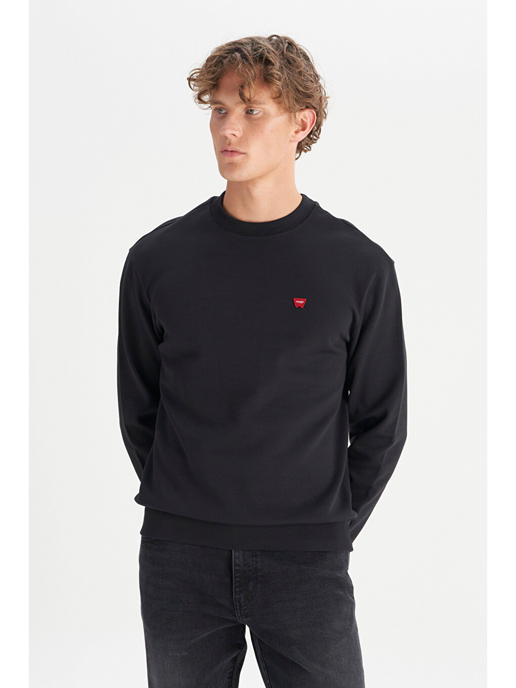 Siyah Pamuklu Regular Fit Bisiklet Yaka Logo Detaylı Sweatshirt-2