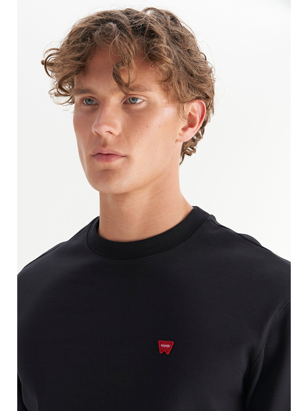 Siyah Pamuklu Regular Fit Bisiklet Yaka Logo Detaylı Sweatshirt-3