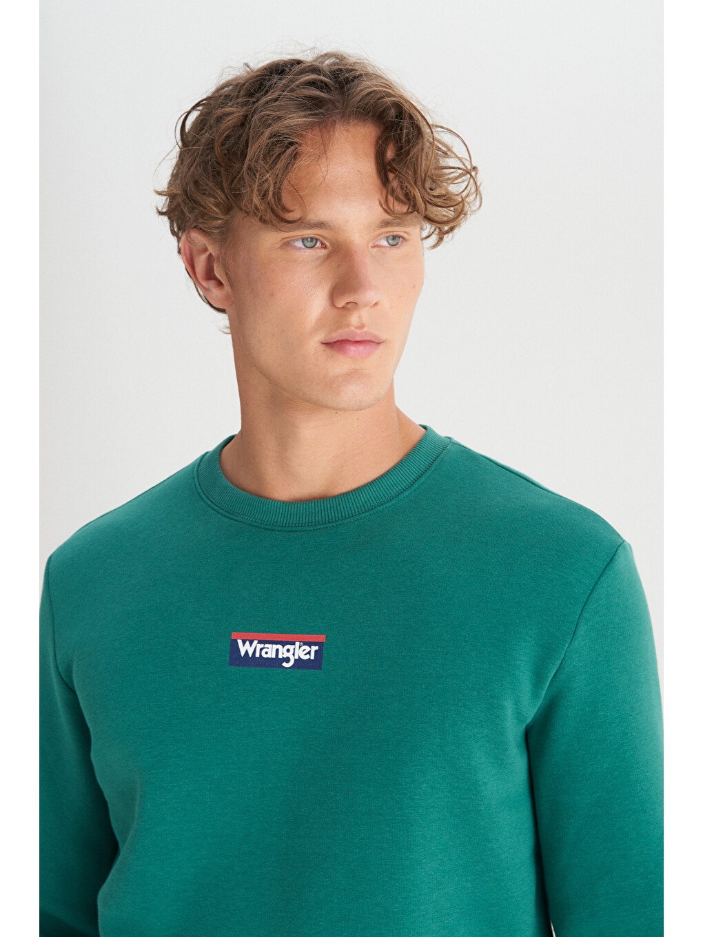 Regular Fit Bisiklet Yaka İçi Polarlı Yeşil Sweatshirt-3