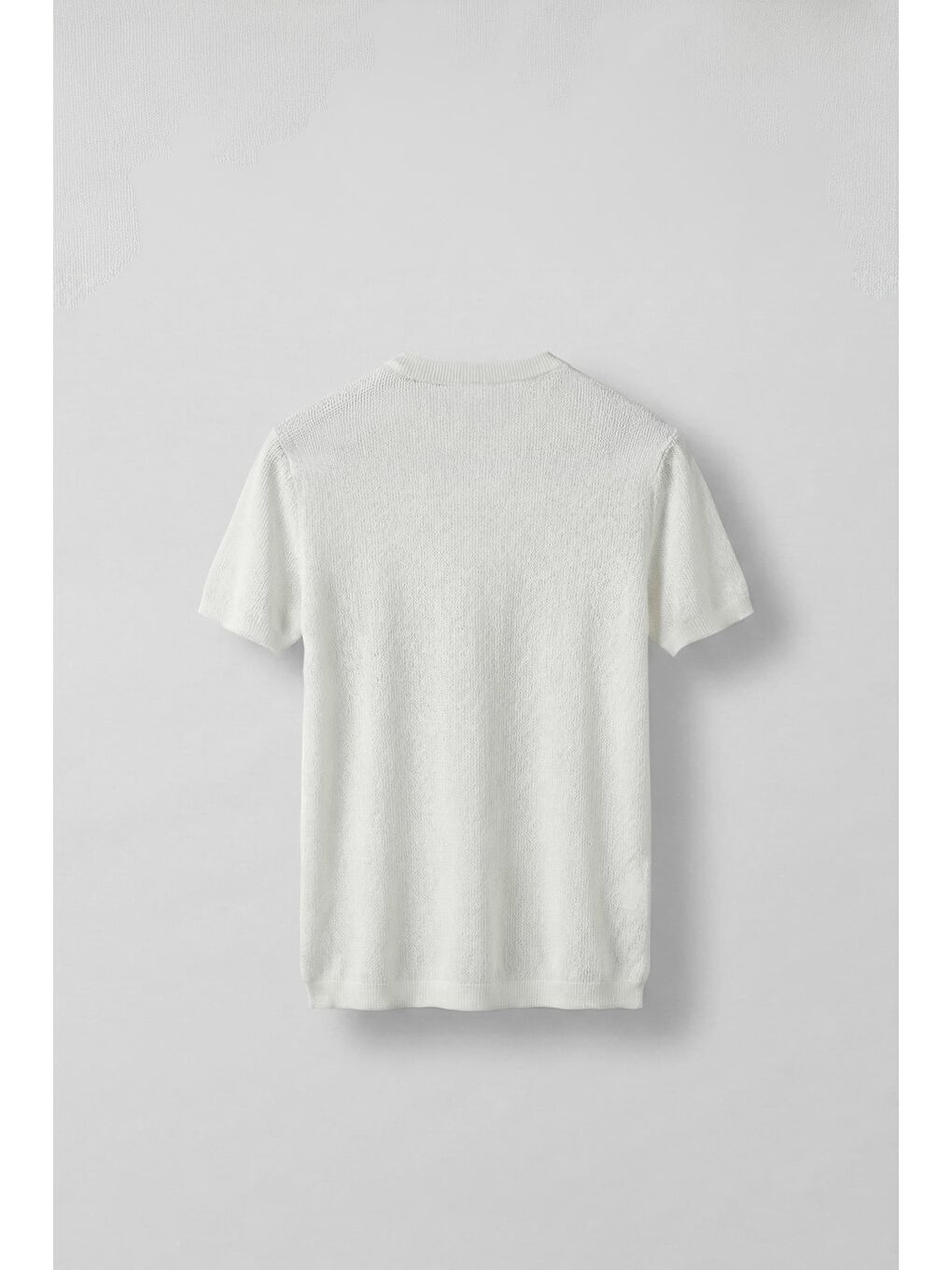 Erkek Regular Fit Bisiklet Yaka Esnek Triko T-Shirt Ekru-1