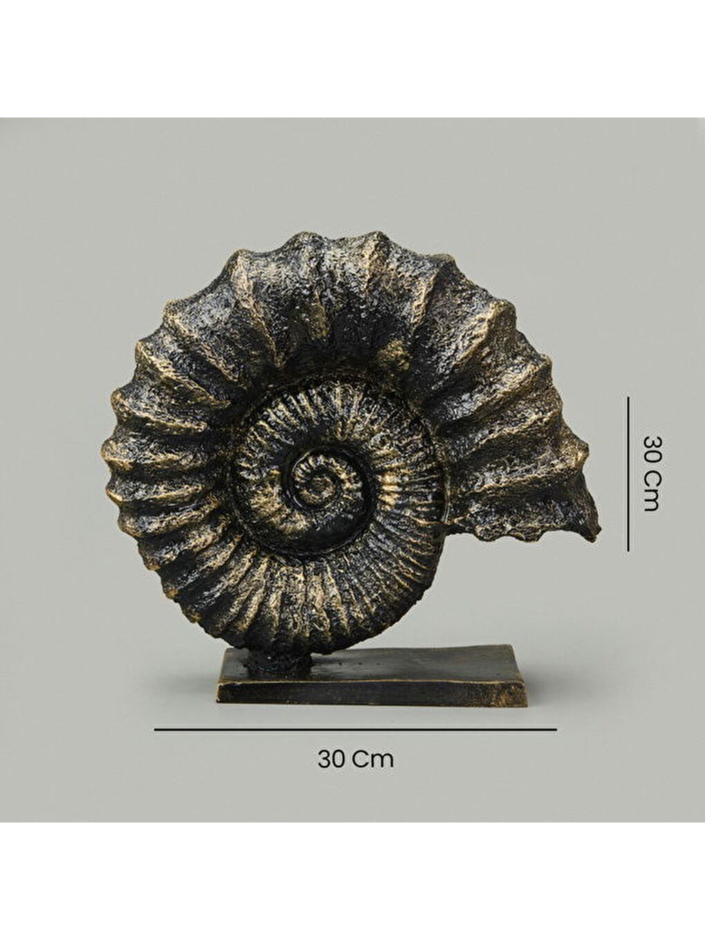 Sarı Deco Deniz Kabuğu Dekor - Gold / Siyah - 30 cm-4