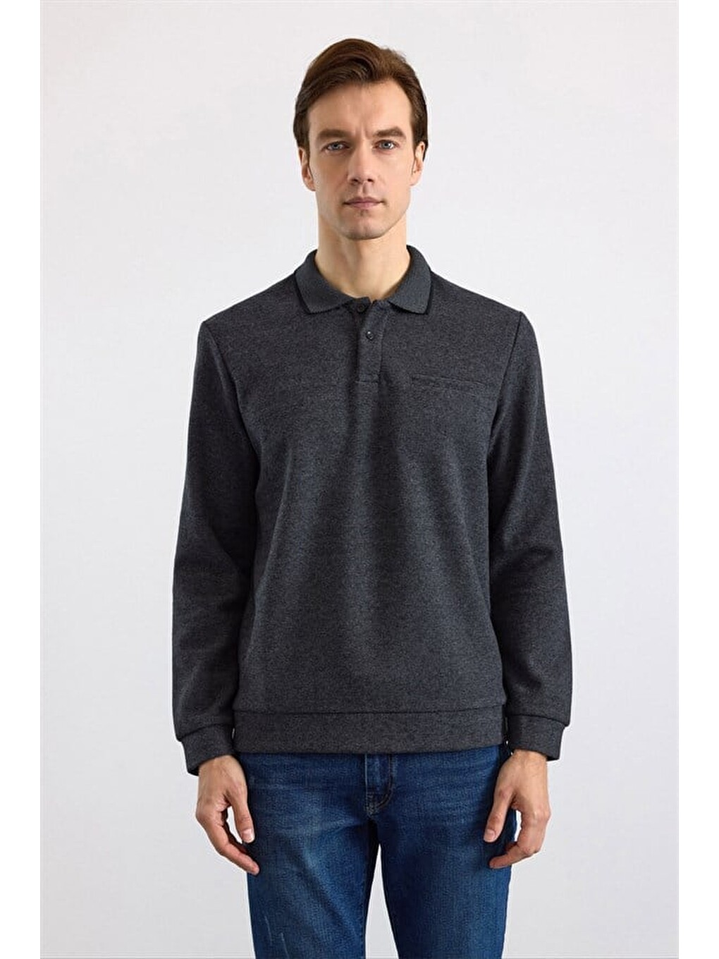 Antrasit Regular Düz Polo Yaka Sweatshirt