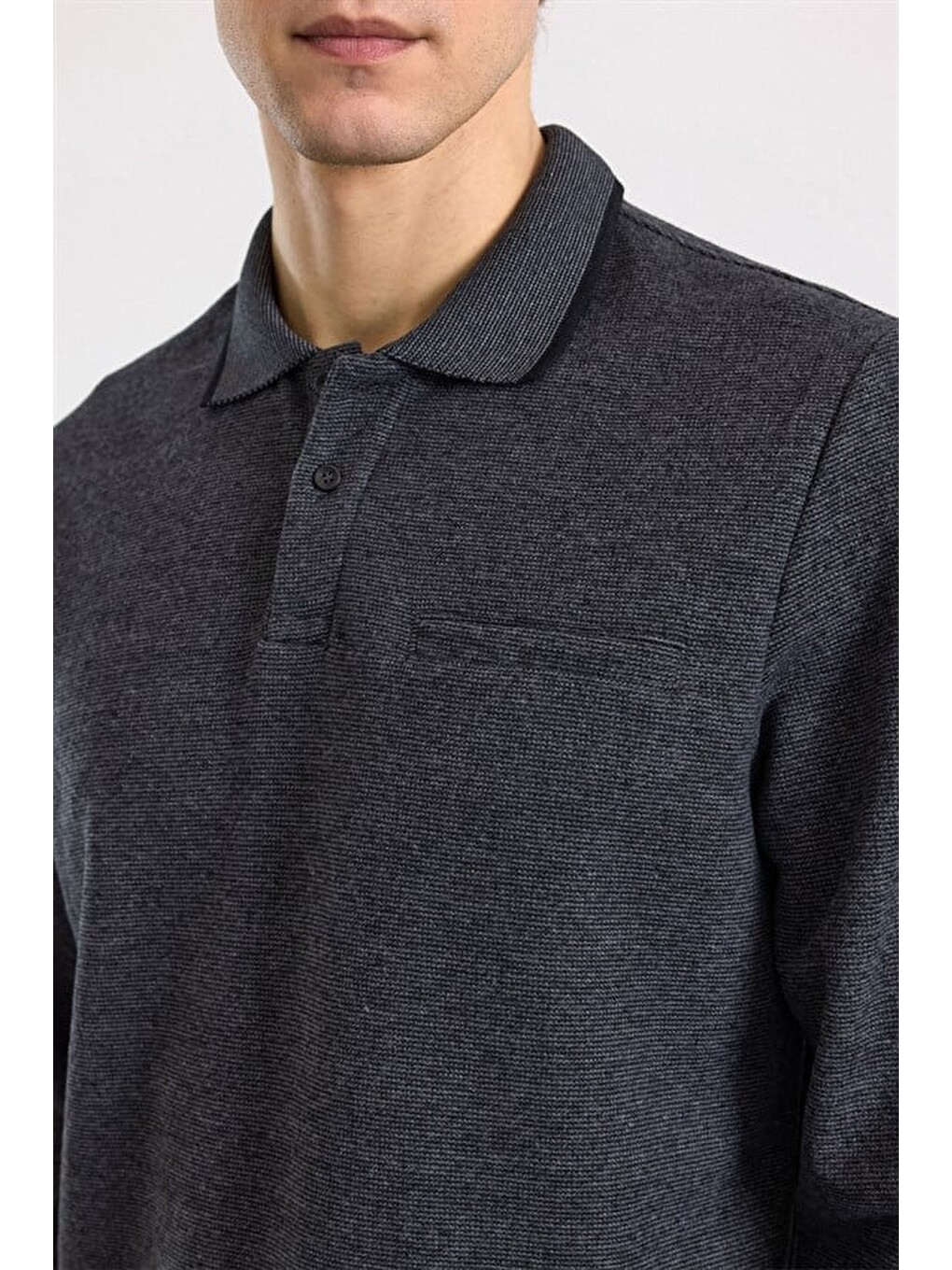 Antrasit Regular Düz Polo Yaka Sweatshirt-1