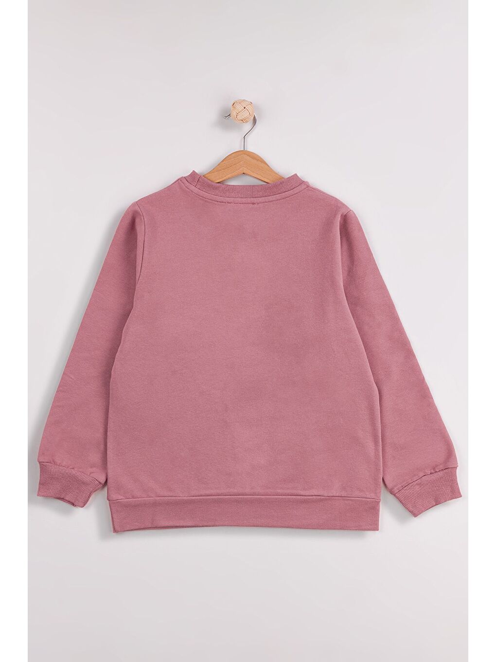 Pembe Kız Çocuk Orta Kalınlıkta Baskılı 2'li Paket Sweatshirt-5