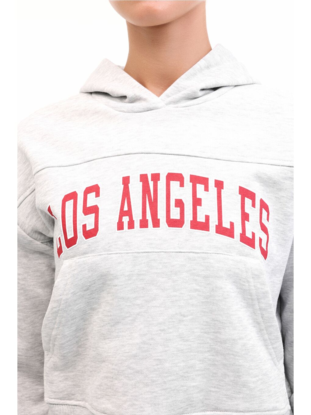 WL 17JAAM BTS802 5PR Gri Kadın Sweatshirt-3