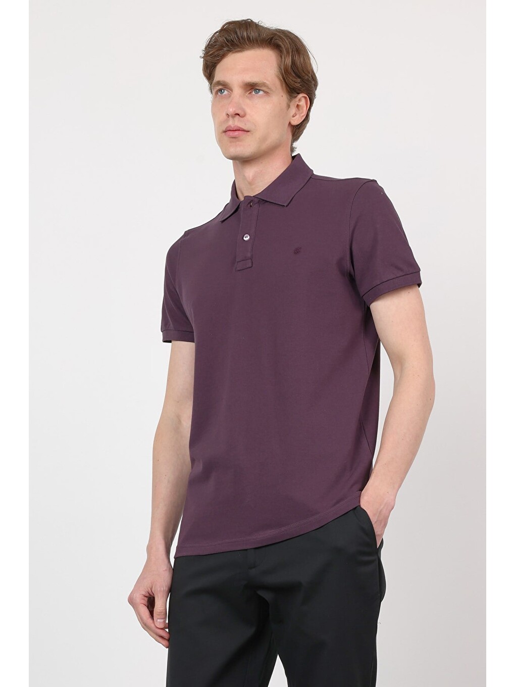 Mürdüm Mor Polo Yaka Kısa Kol Cepsiz Slim Fit Pamuklu Tişört 1011260154-2