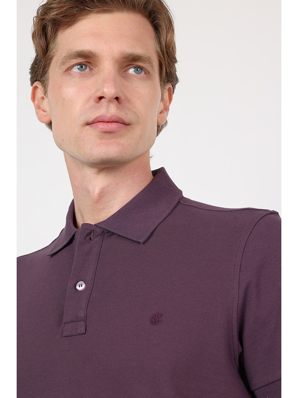 Mürdüm Mor Polo Yaka Kısa Kol Cepsiz Slim Fit Pamuklu Tişört 1011260154-3