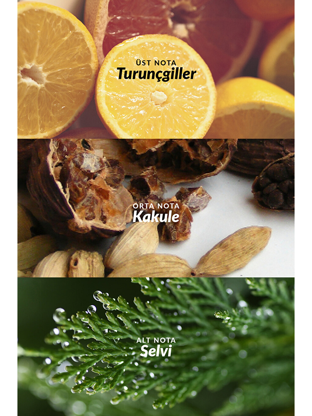 Full Speed Erkek Parfüm Edt 100 Ml. İkili Set-4