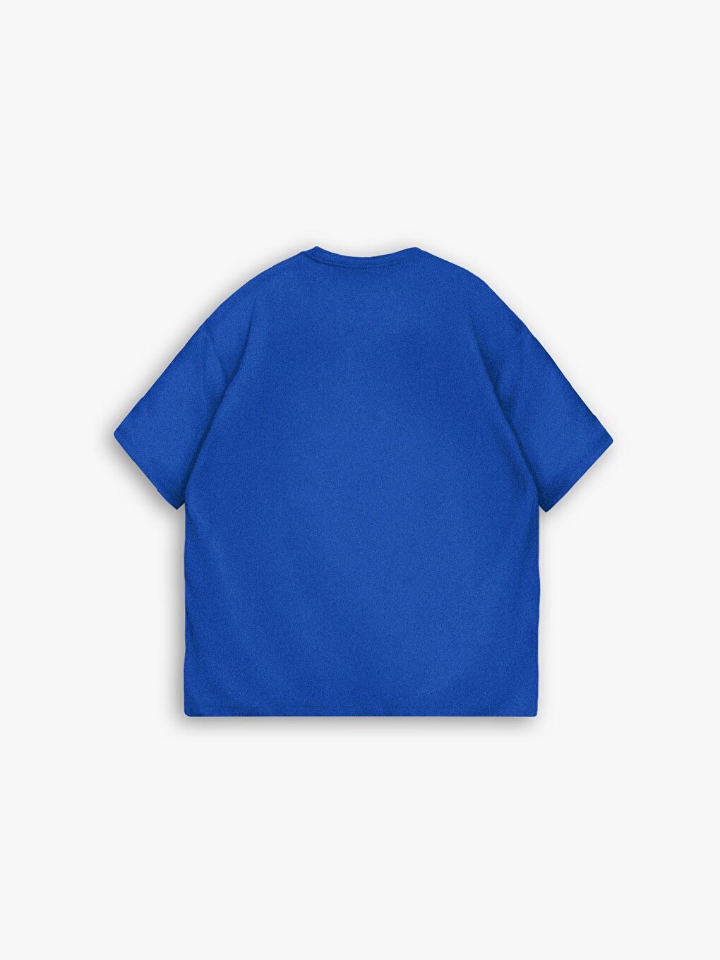 ablukaonline Mavi Erkek Oversize Basic T-Shirt Mavi - 4