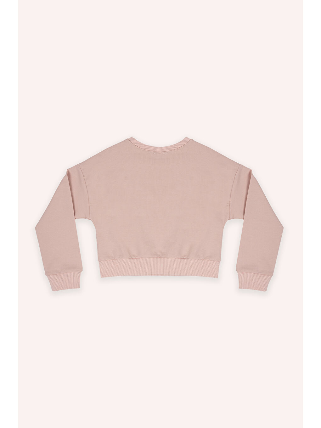 Pembe Kız Çocuk Sweatshirt Pudra-2