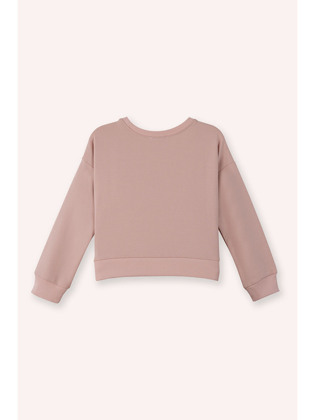 Pembe Kız Çocuk Sweatshirt Pudra-4