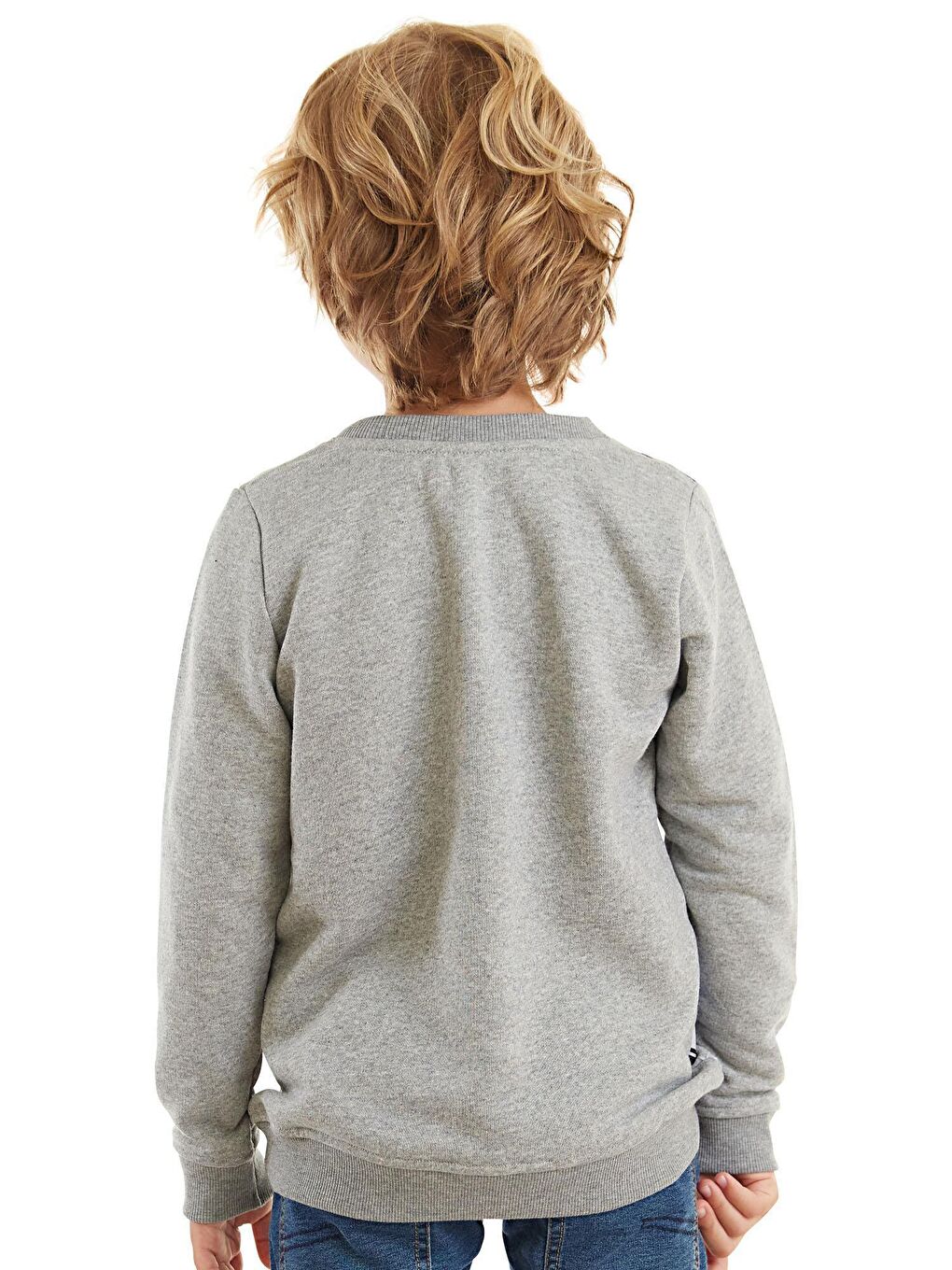 Denokids Gri Sevimli Arabalar Erkek Çocuk Sweatshirt - 1