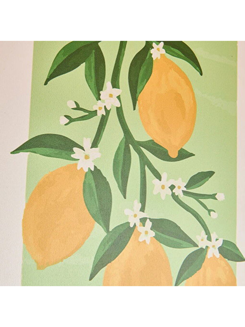 Deco Lime Cello Duvar Panosu - Sarı / Açık Yeşil - 30x40 cm-6