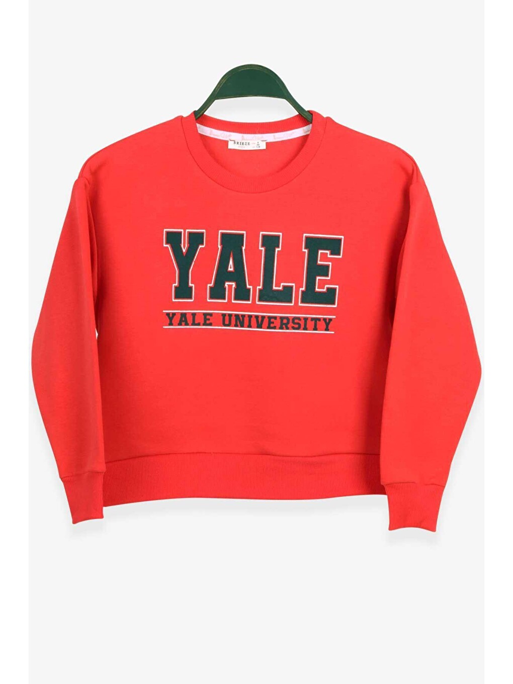Kırmızı Kız Çocuk Sweatshirt Baskılı Narçiçeği (9 Yaş)-4