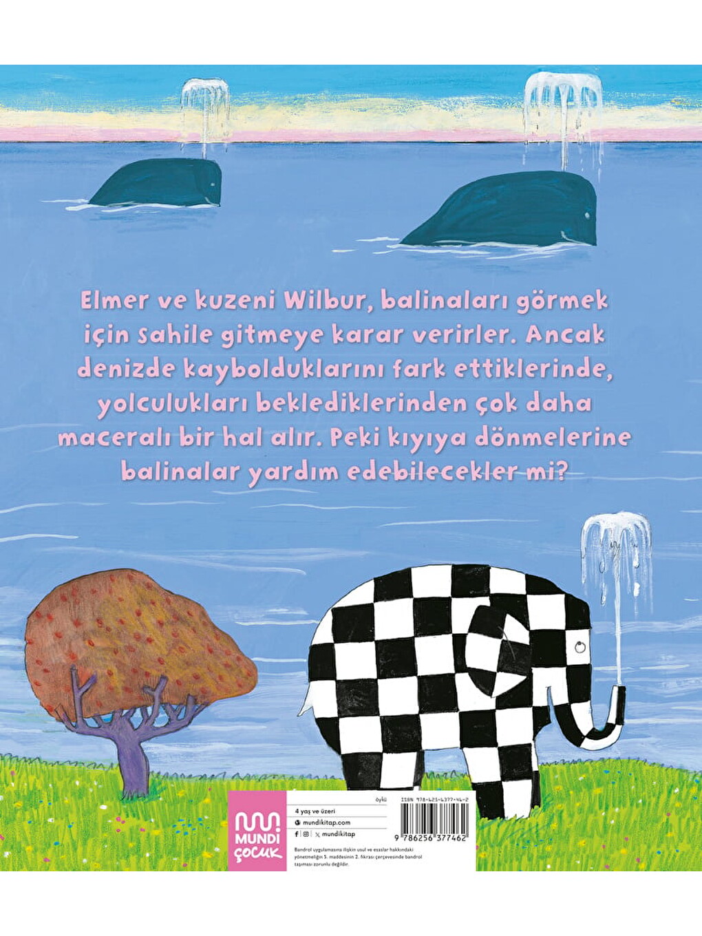 Elmer Ve Balinalar