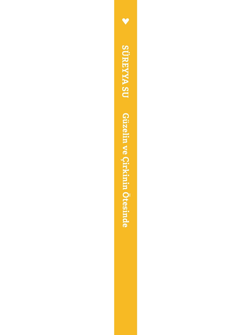 Güzelin Ve Çirkinin Ötesinde-1