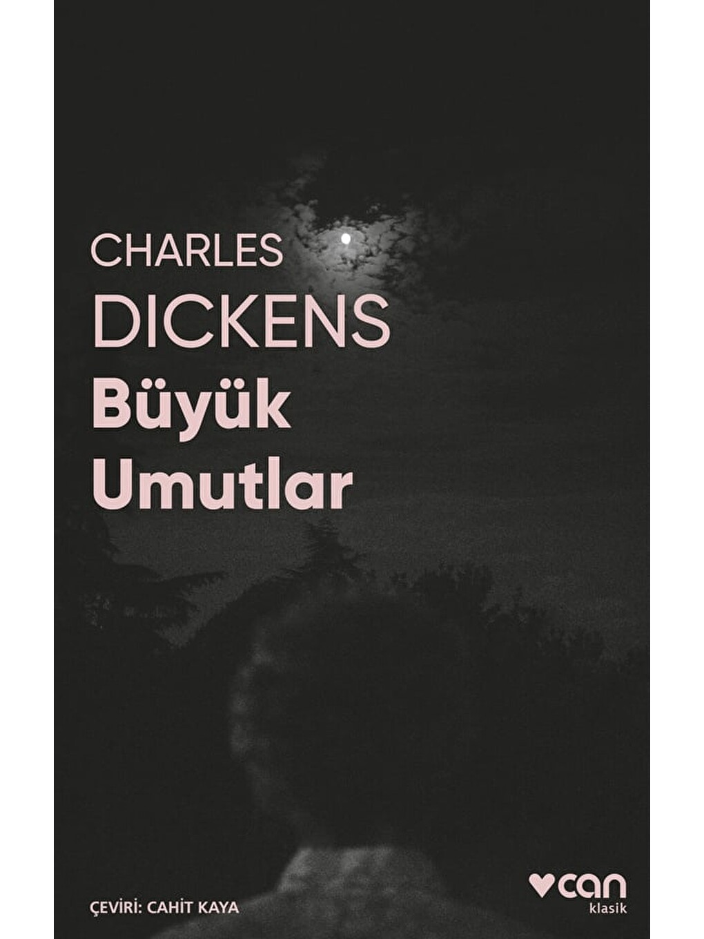 Büyük Umutlar