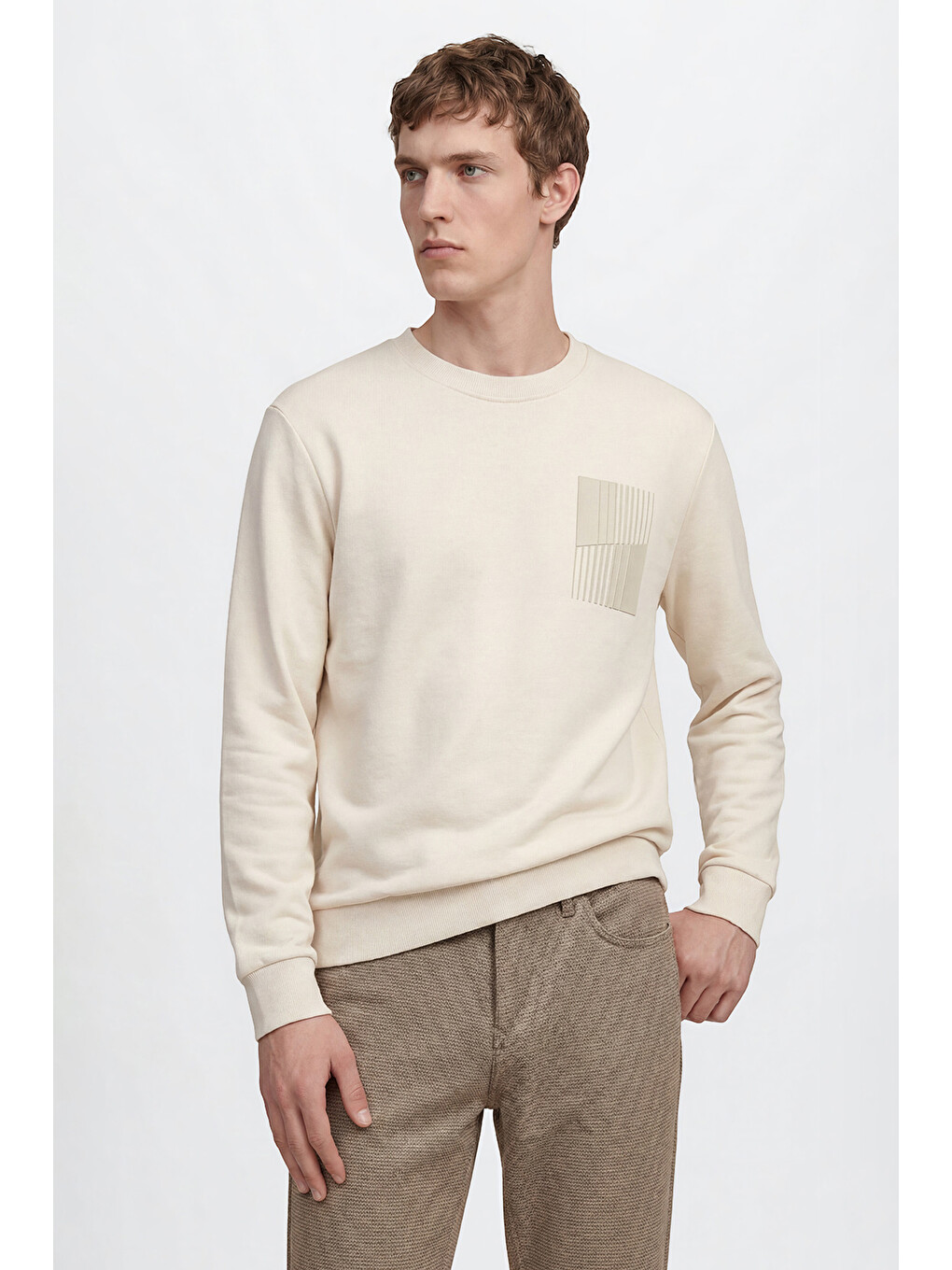 Bej Erkek Taş Pamuklu Standart Fit Normal Kesim Bisiklet Yaka Sweatshirt-2