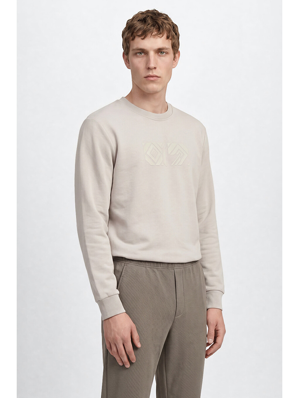 Erkek Açık Gri Pamuklu Standart Fit Normal Kesim Bisiklet Yaka Sweatshirt