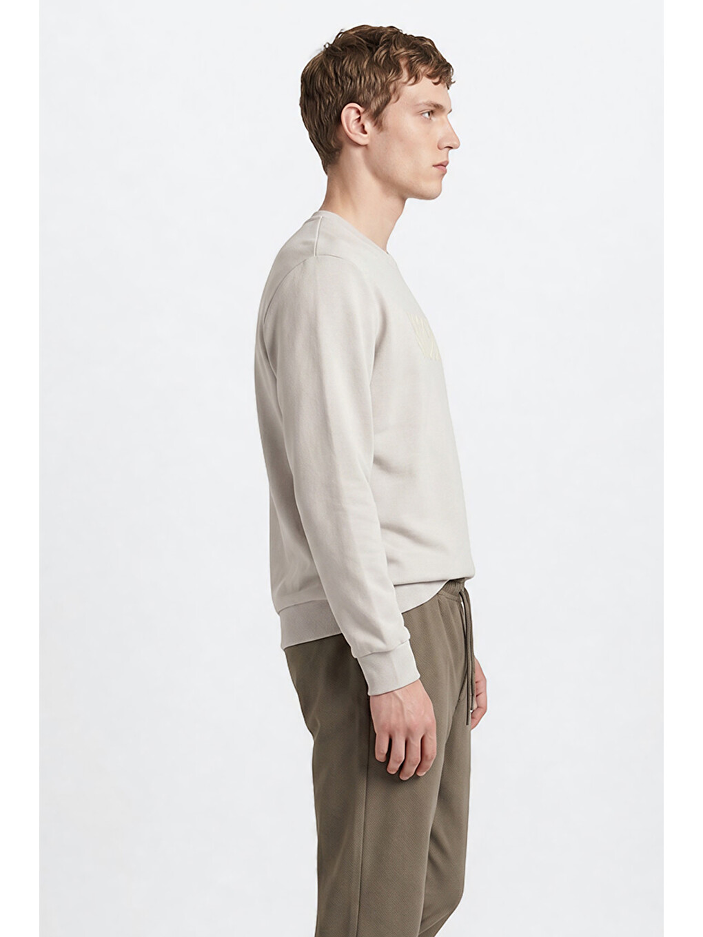 Erkek Açık Gri Pamuklu Standart Fit Normal Kesim Bisiklet Yaka Sweatshirt-2