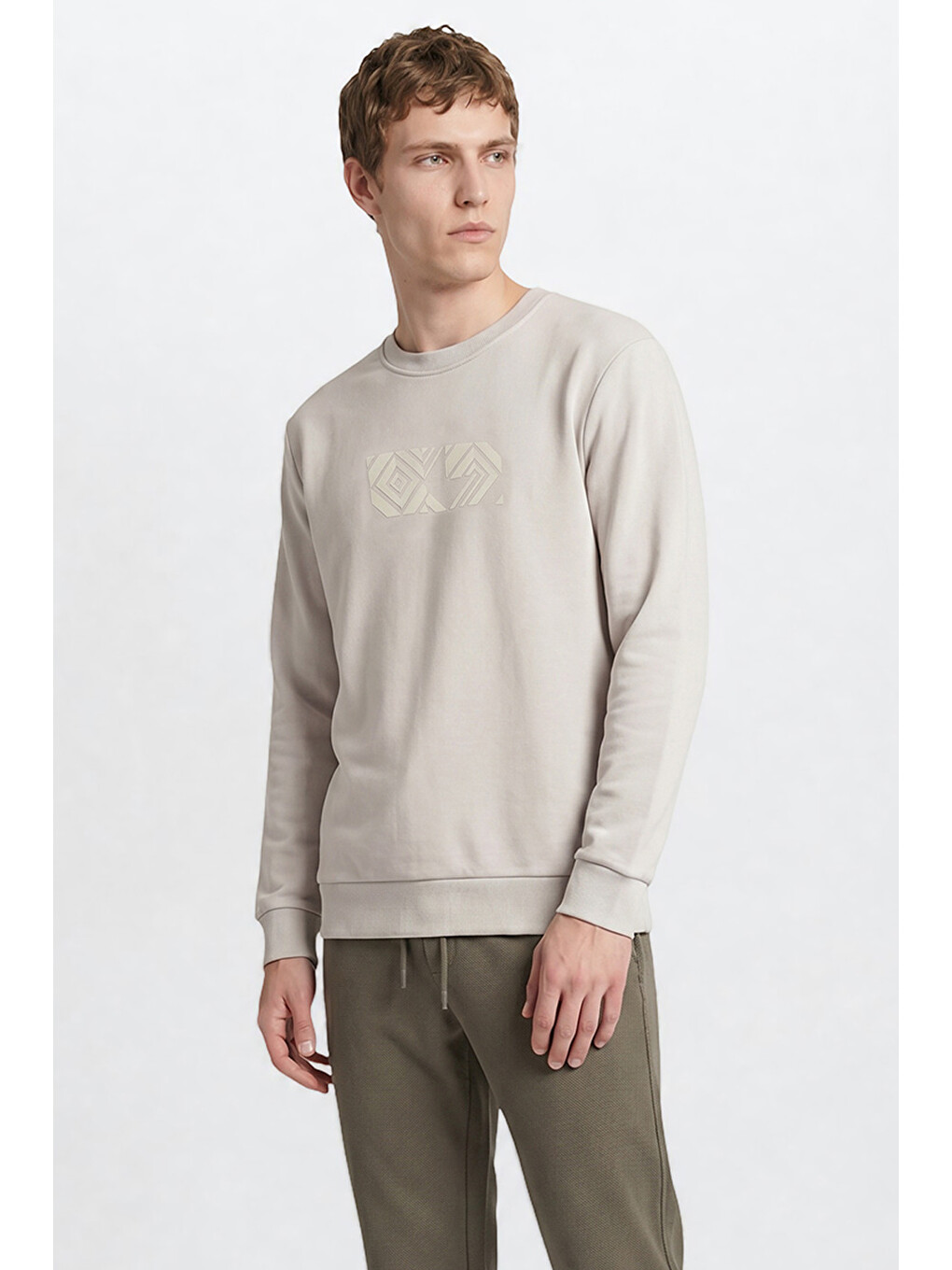 Erkek Açık Gri Pamuklu Standart Fit Normal Kesim Bisiklet Yaka Sweatshirt-3