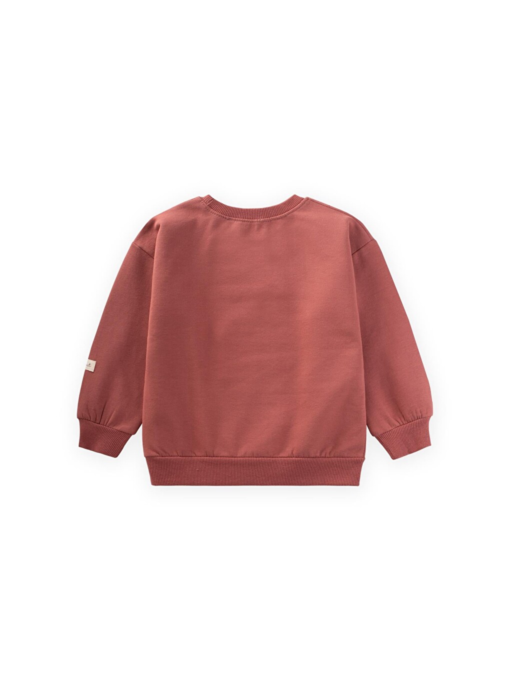 Pembe At Aplikeli Sweatshirt 1-6 Yaş Gül Kurusu-2
