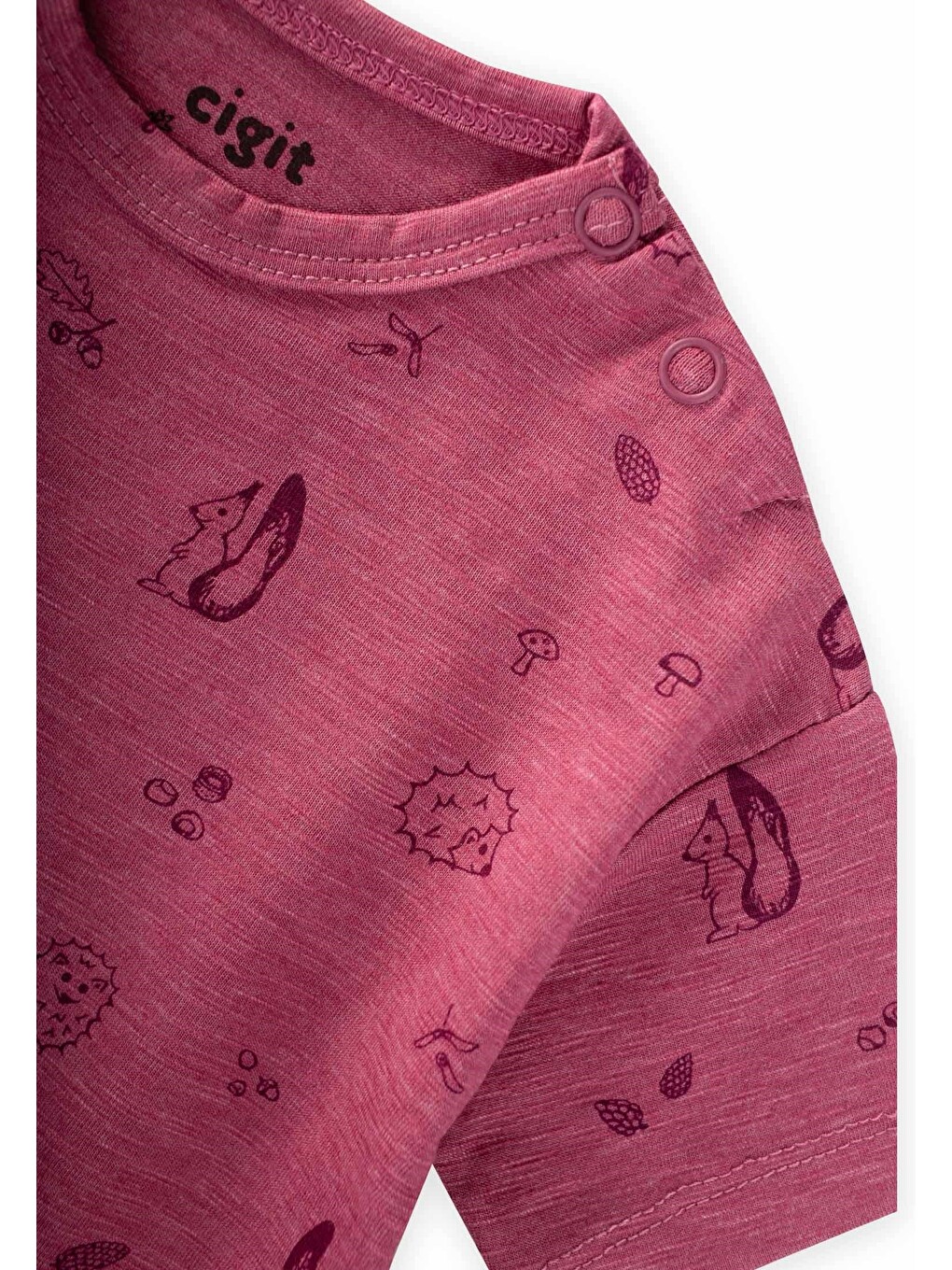 Taytlı T-Shirt Takım 0-3 Yaş Mürdüm-3