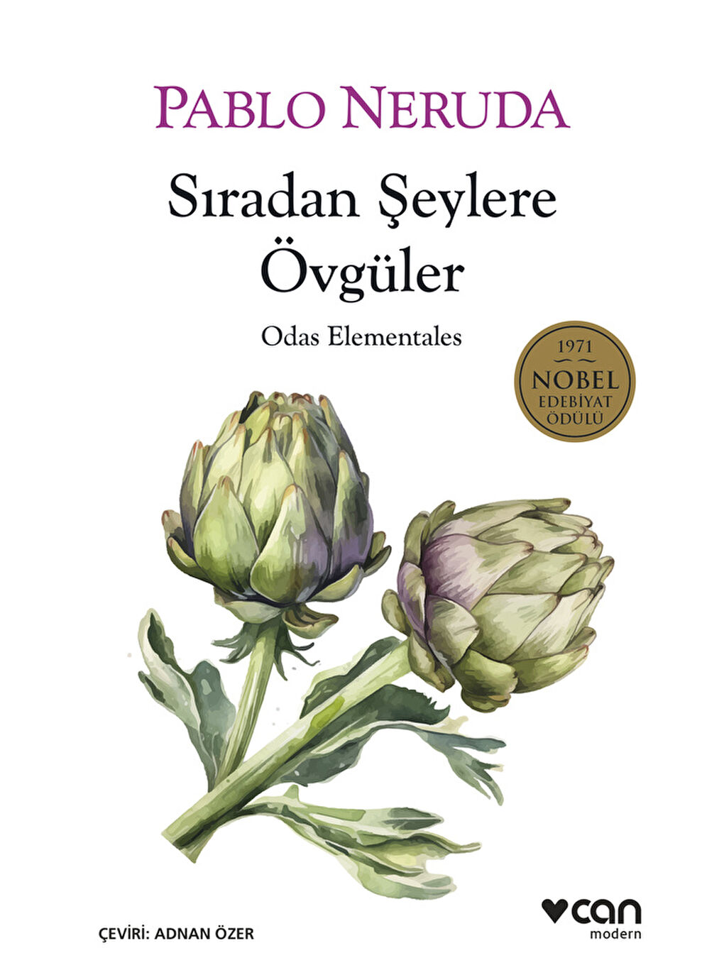 Can Yayınları Renksiz Sıradan Şeylere Övgüler