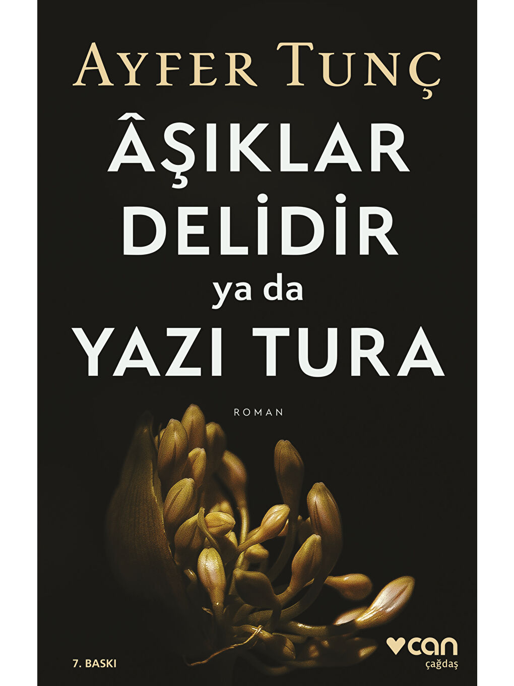 Can Yayınları Renksiz Âşıklar Delidir ya da Yazı Tura