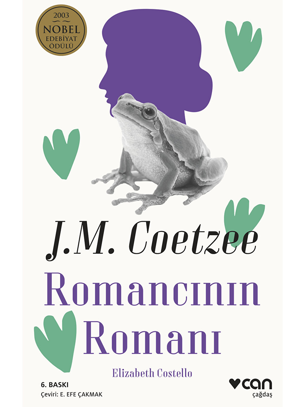 Romancının Romanı