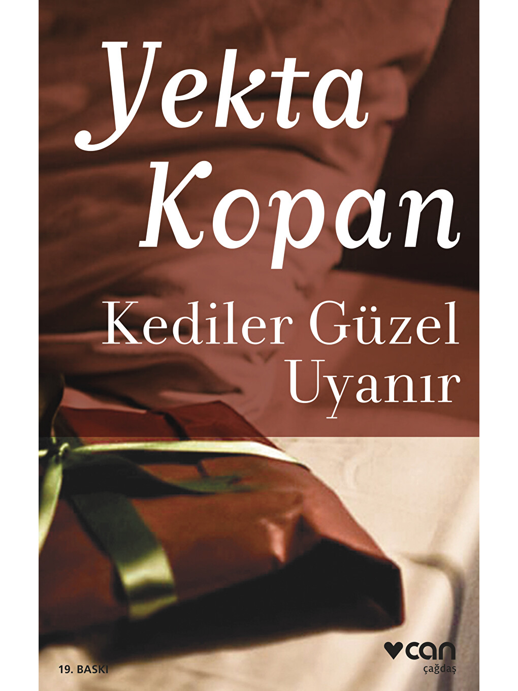 Kediler Güzel Uyanır