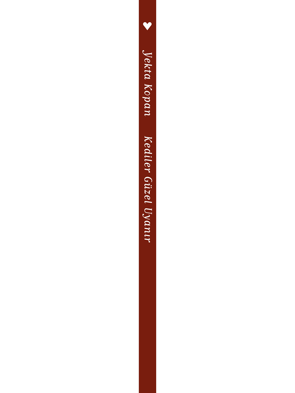 Kediler Güzel Uyanır-1