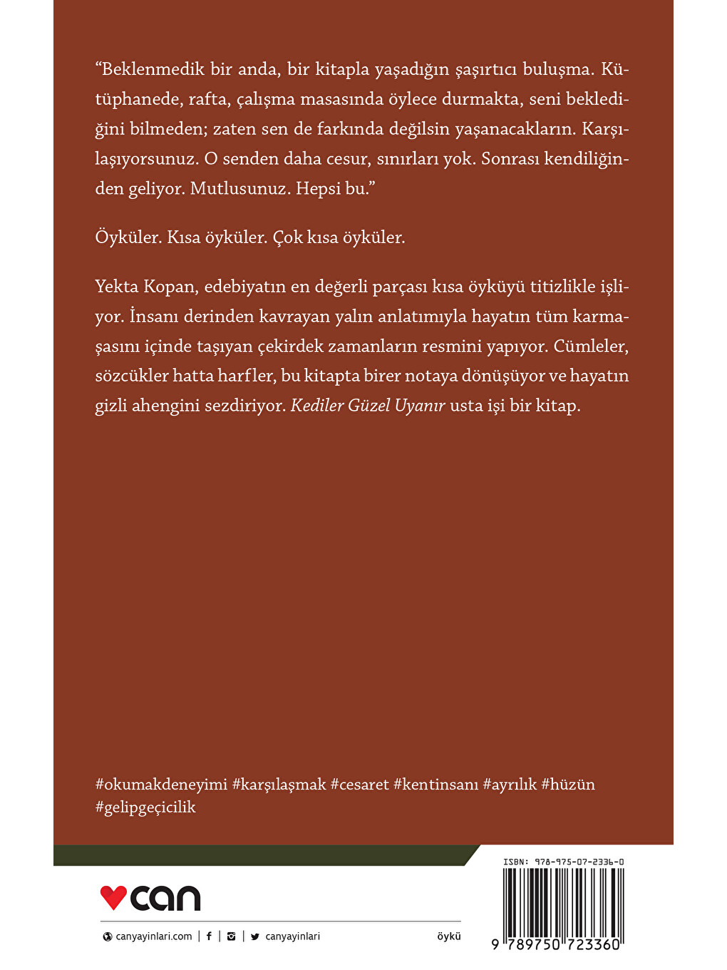 Kediler Güzel Uyanır-2