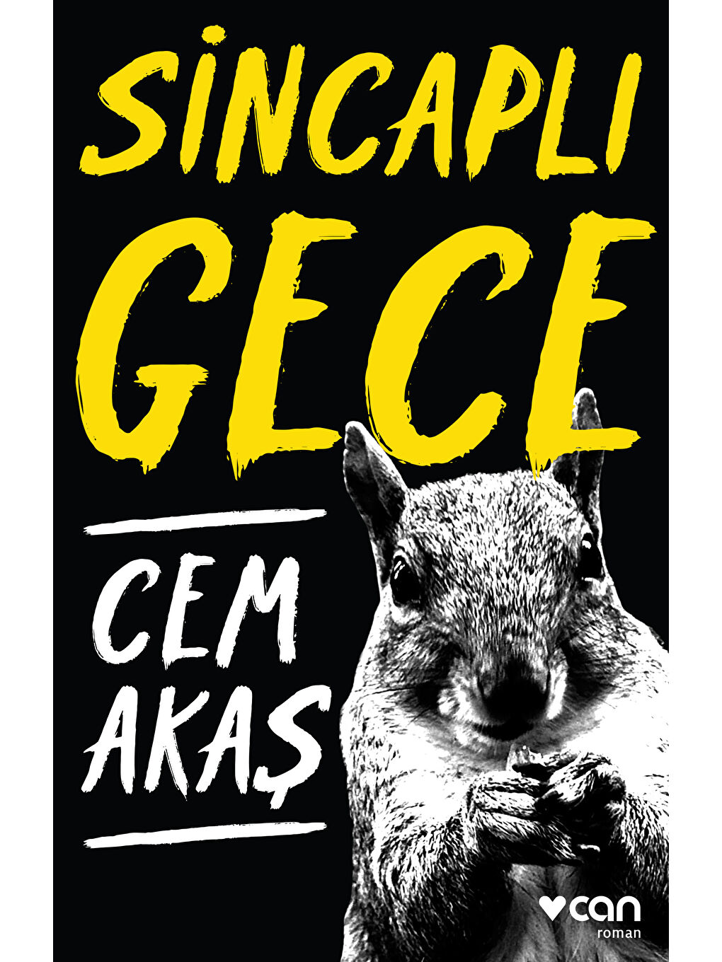 Can Yayınları Renksiz Sincaplı Gece