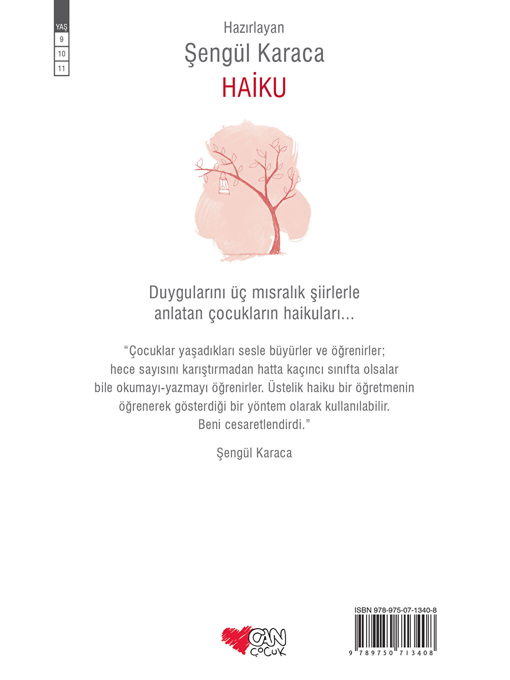 Can Çocuk Yayınları Renksiz Haiku - 1