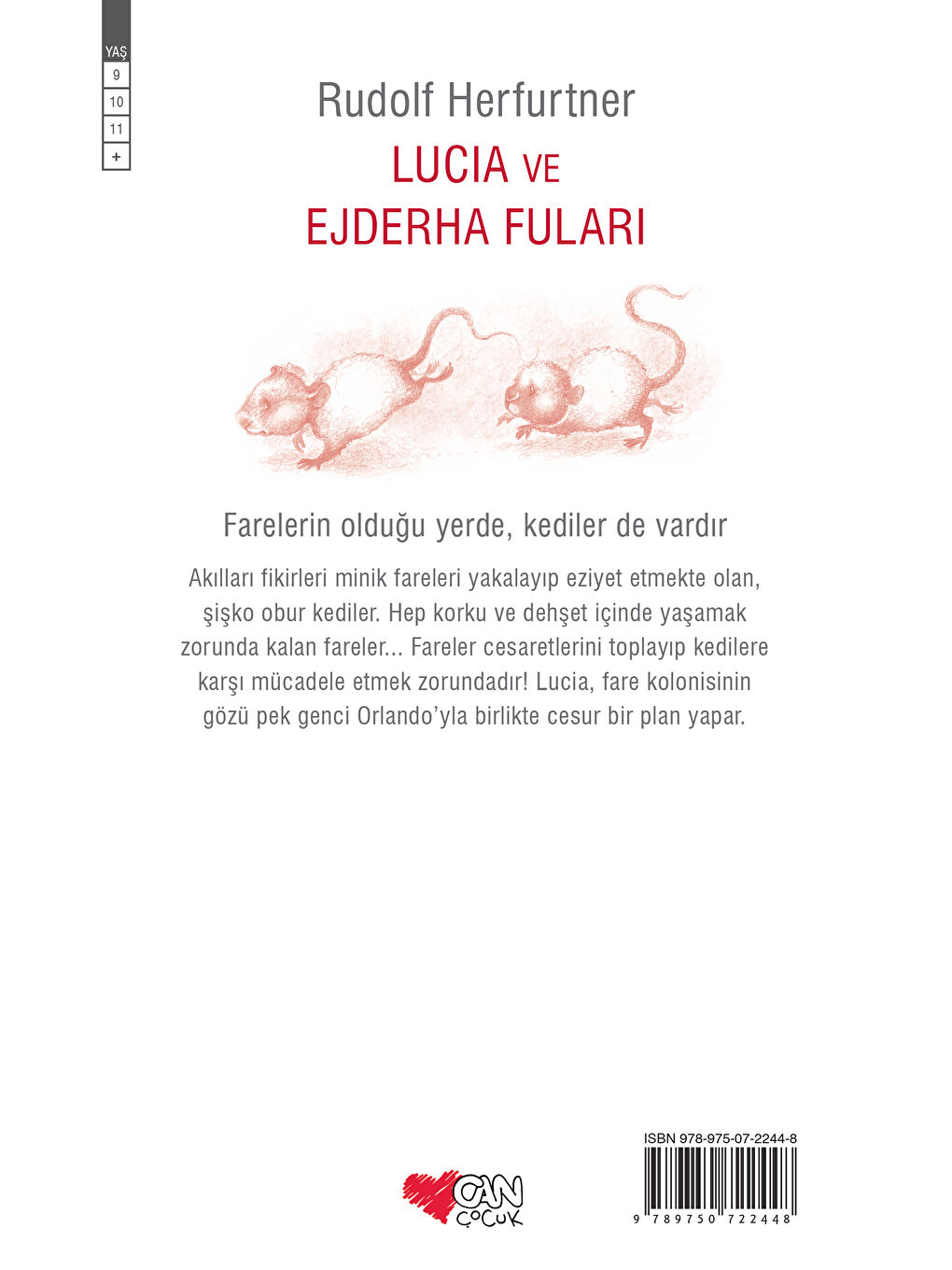 Can Çocuk Yayınları Renksiz Lucia ve Ejderha Fuları - 1