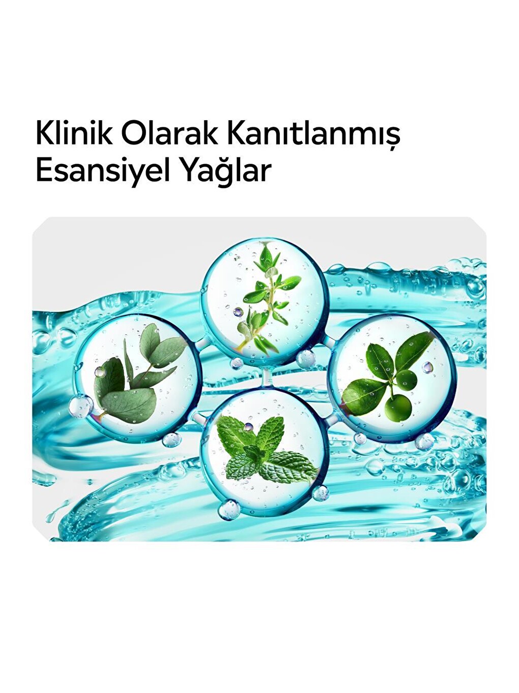 Cool Mint Ağız Bakım Suyu 1000 Ml X 6-4