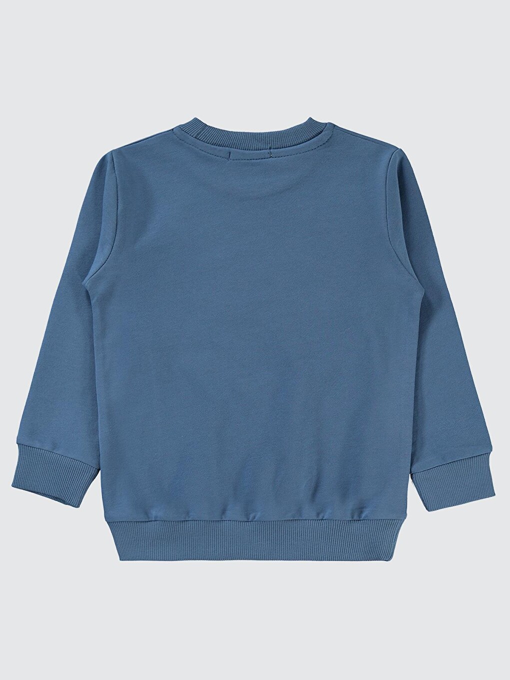 İndigo Boys Street Skate Baskılı 2-5 Yaş Sweatshirt - Mavi-1