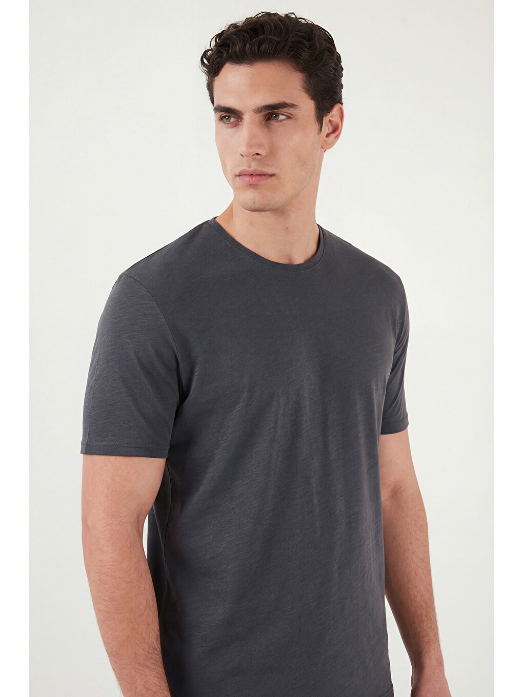 Antrasit Bisiklet Yaka %100 Pamuk Slim Fit Basic Tişört 59020001-5