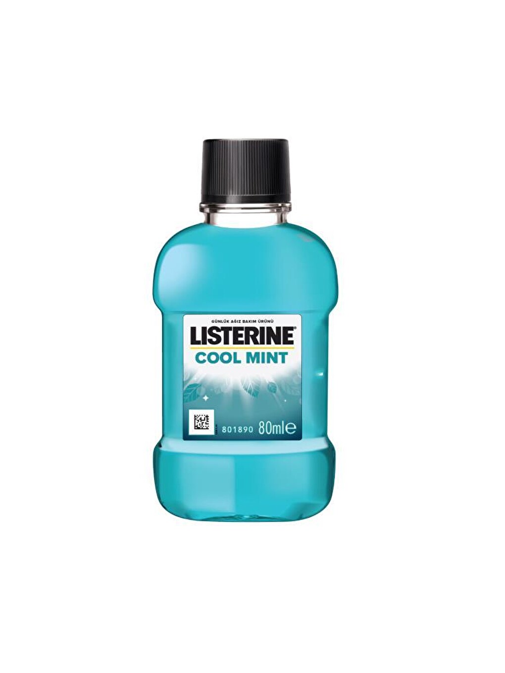 Cool Mint 80ml-1