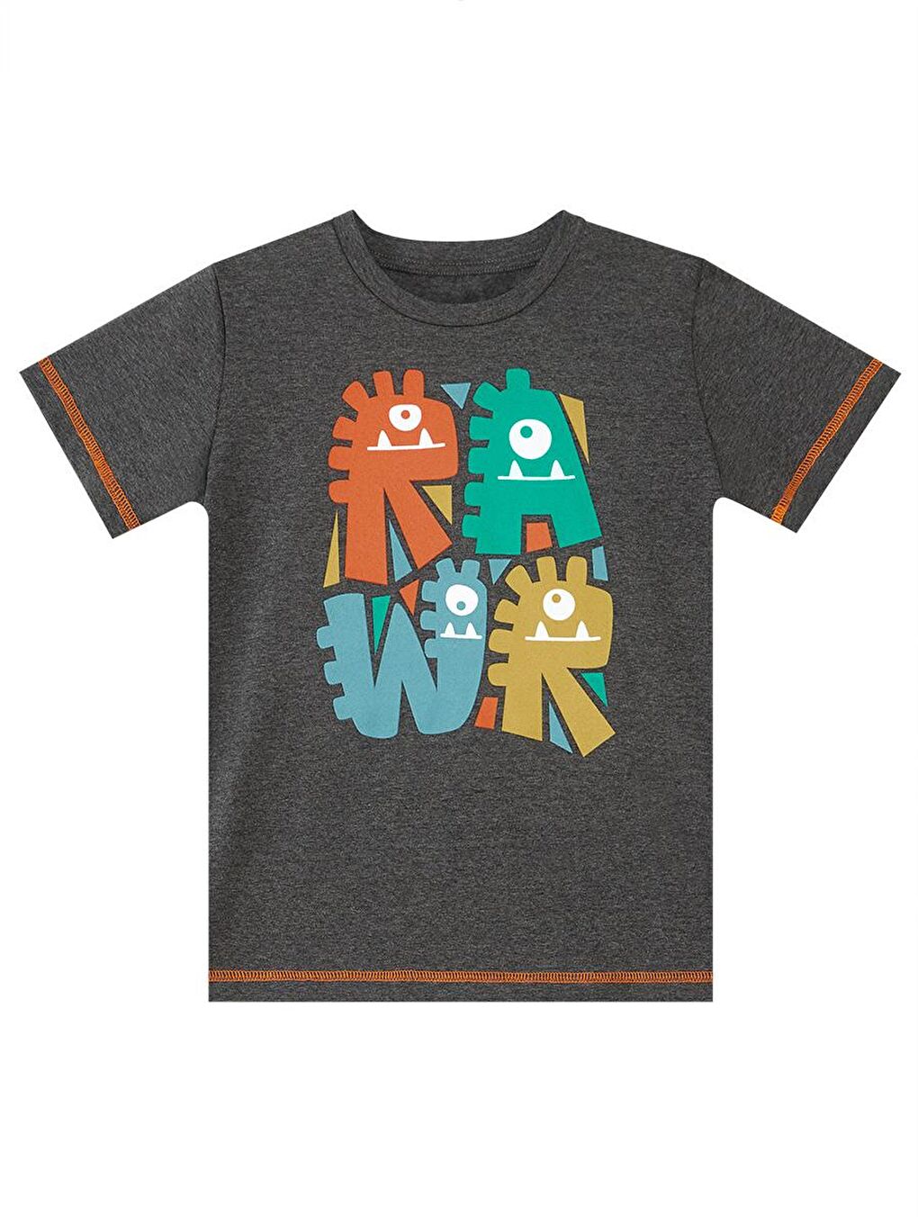 Denokids Gri Rawr Dino Erkek Çocuk T-shirt Şort Takım - 4