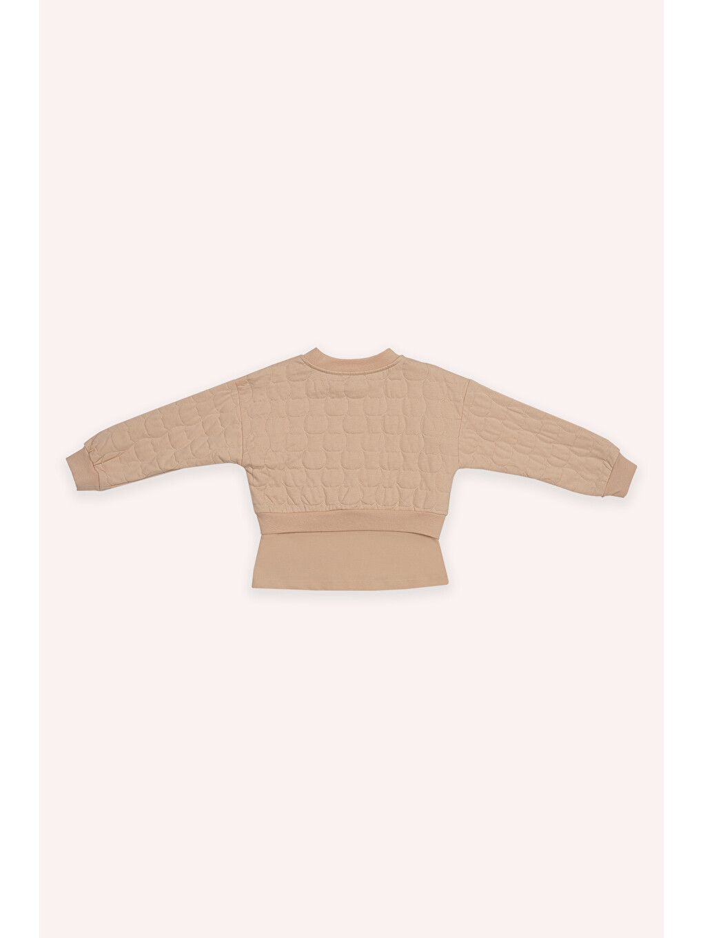 Pembe Kız Çocuk Kedi Kapitoneli Somon Sweatshirt-2