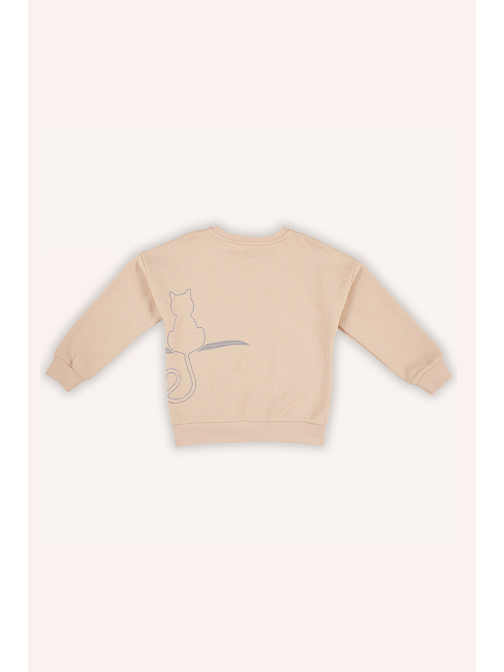 Pembe Kız Çocuk Sırtı Baskı Detaylı Somon Sweatshirt-6
