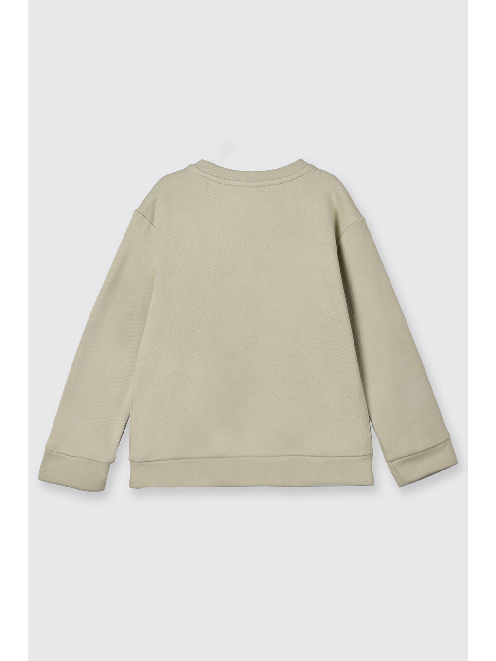 Erkek Bebek Yumuşak Dokulu Baskılı Yeşil Sweatshirt-1
