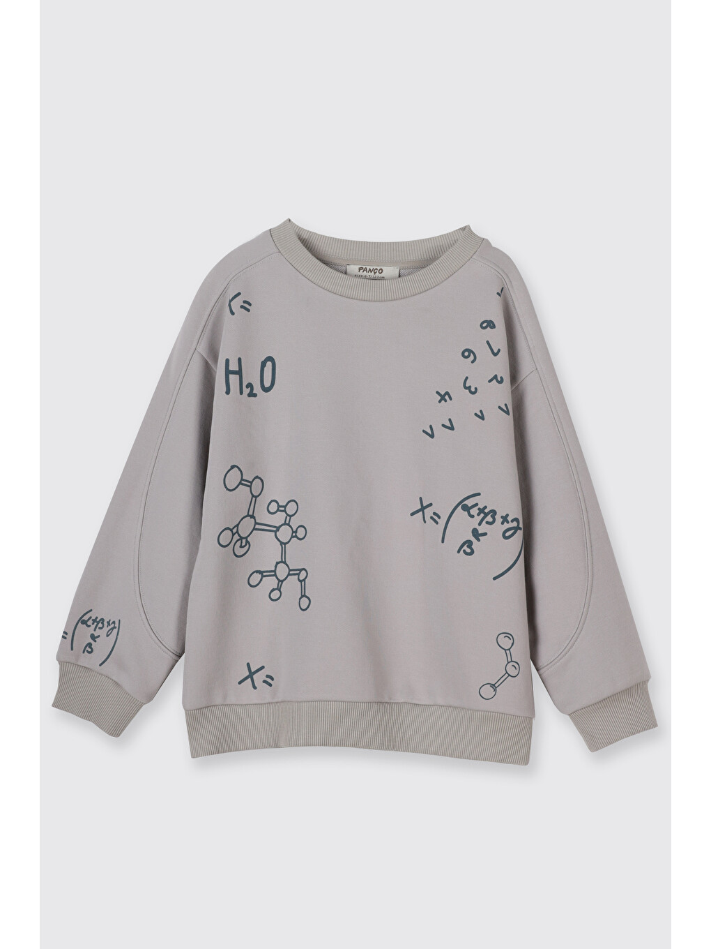 Bej Erkek Çocuk Baskılı Taş Sweatshirt-2