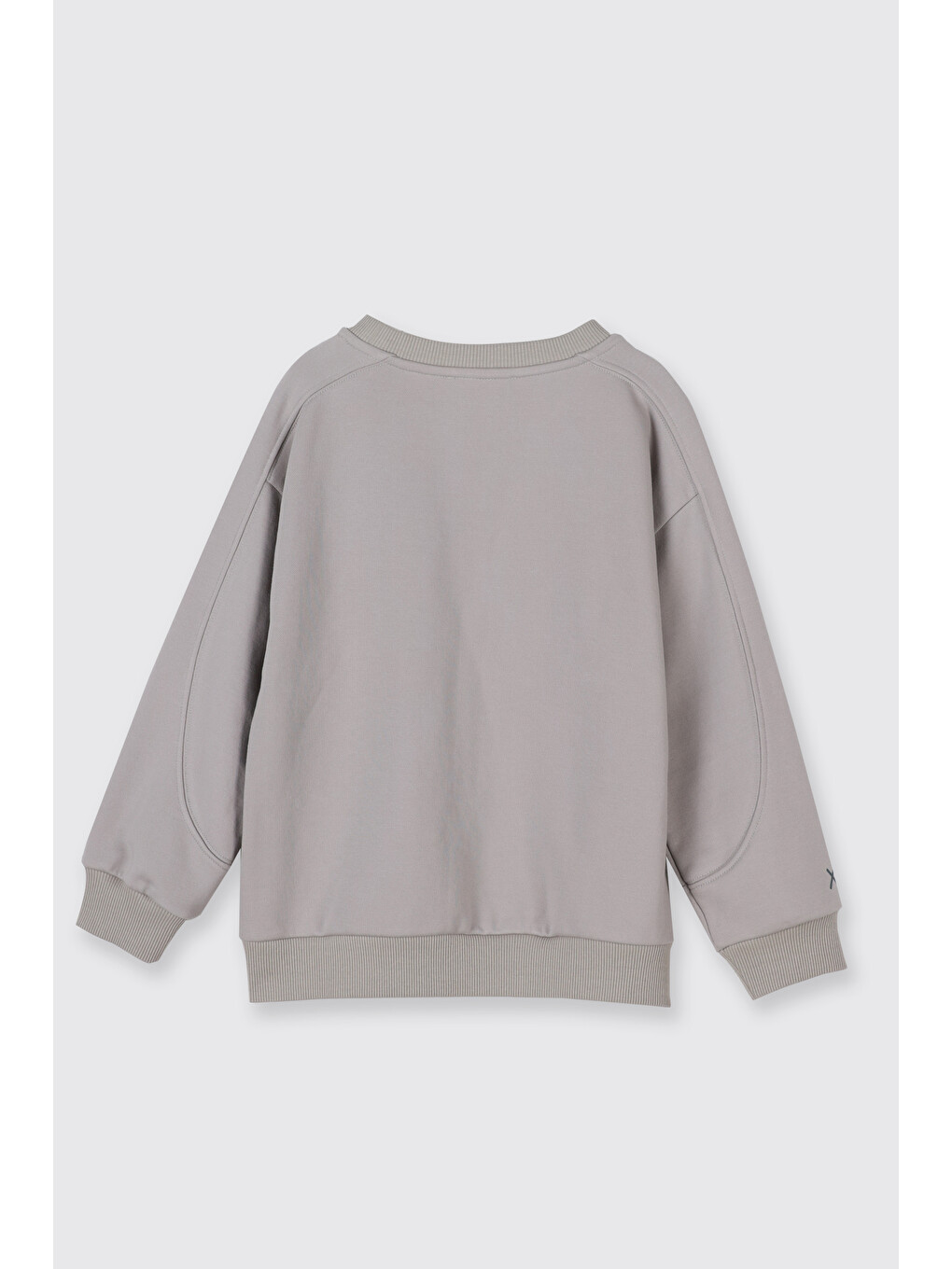Bej Erkek Çocuk Baskılı Taş Sweatshirt-5