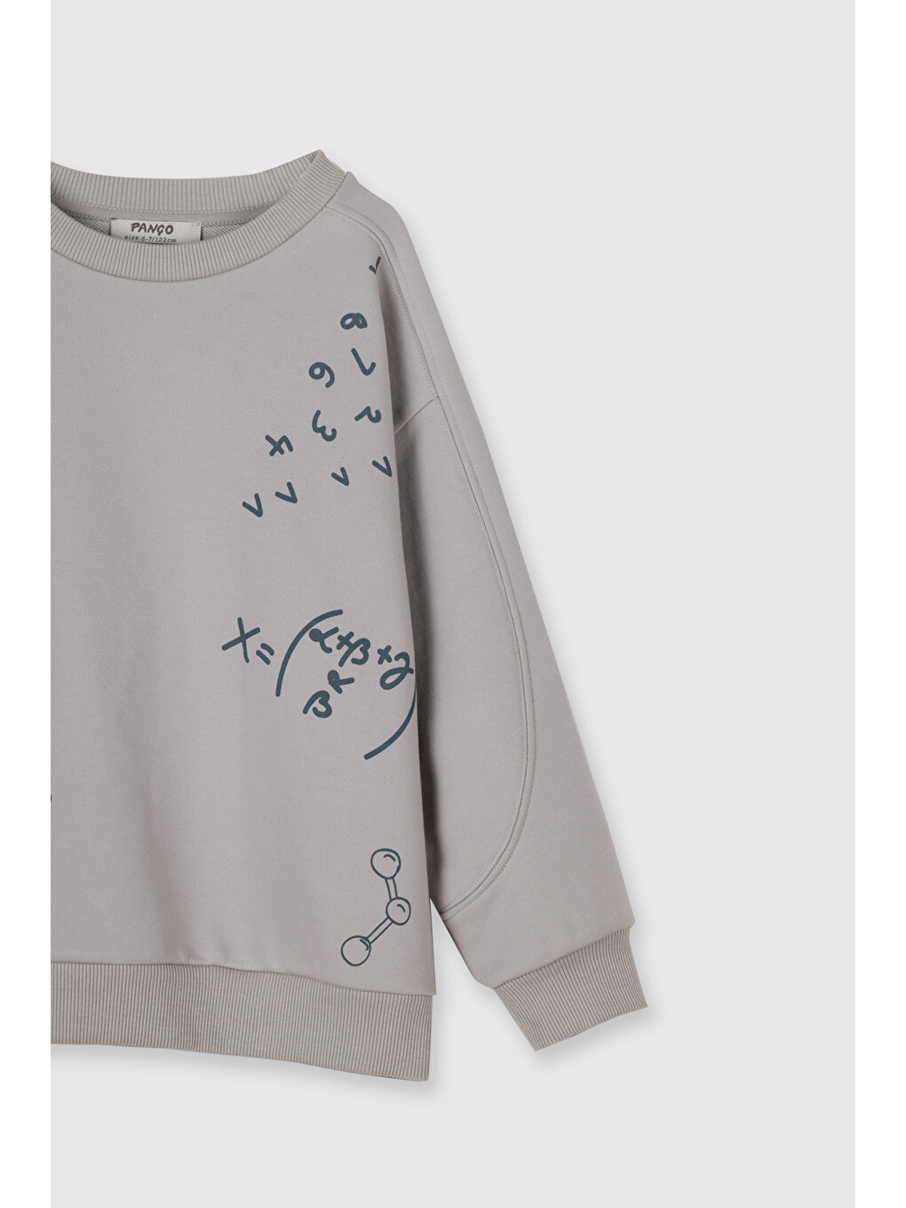 Bej Erkek Çocuk Baskılı Taş Sweatshirt-6